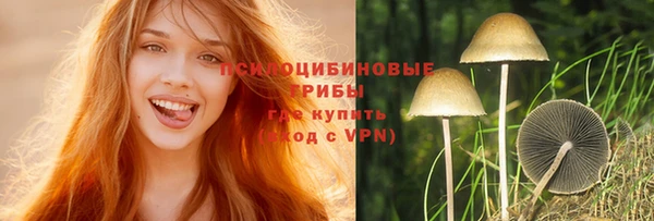 mdpv Арсеньев