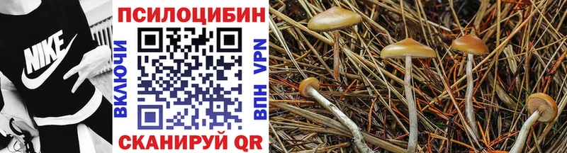 Псилоцибиновые грибы MAGIC MUSHROOMS  Малмыж 
